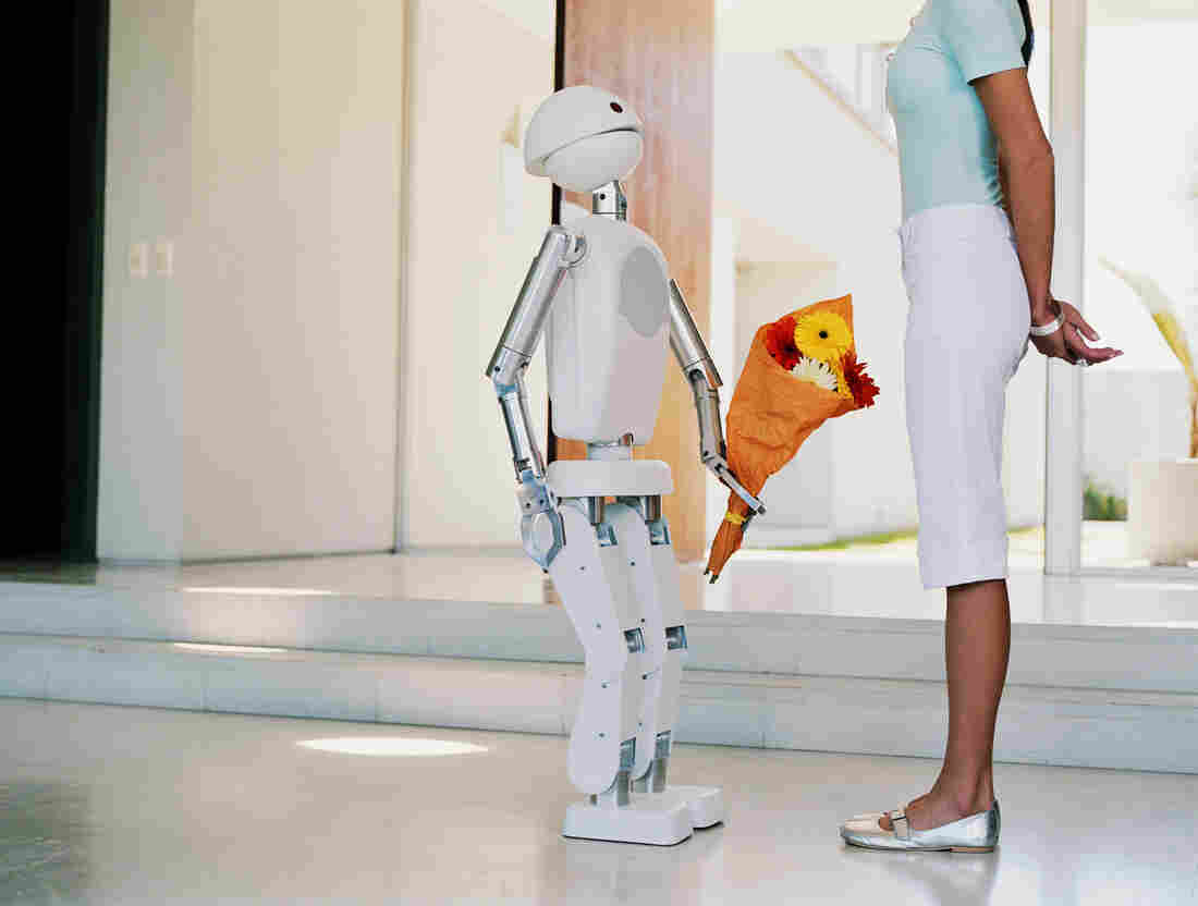 Computer scientists are developing robots that can provide intimacy, rather than just sexual pleasure.