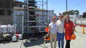 Replacing Plastic: Can Bacteria Help Us Break The Habit?