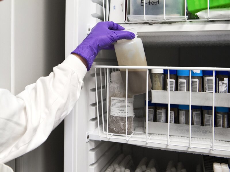 Tainted Fecal Transplants Lead To A Patient S Death Shots
