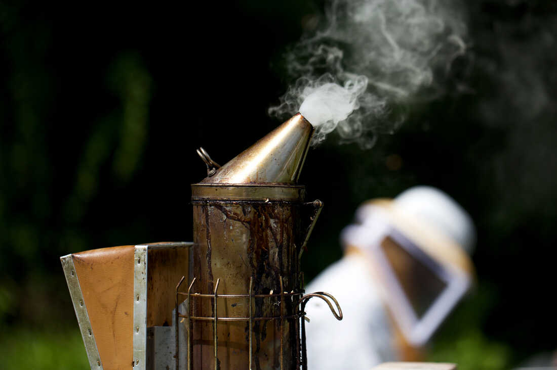 Colorado beekeepers hope to turn trend of die-offs locally