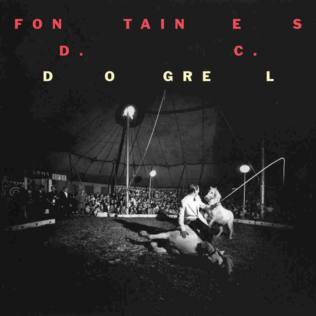 Fontaines D.C., Dogrel
