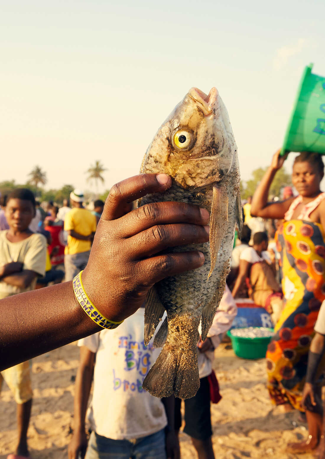 Trading Sex For Fish The Dark Secret Of Lake Malawi Goats and Soda picture