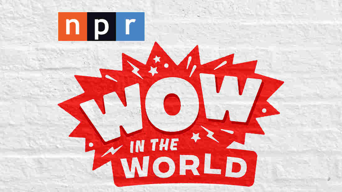 A new way for families to connect, look up and discover the wonders in the world around them.