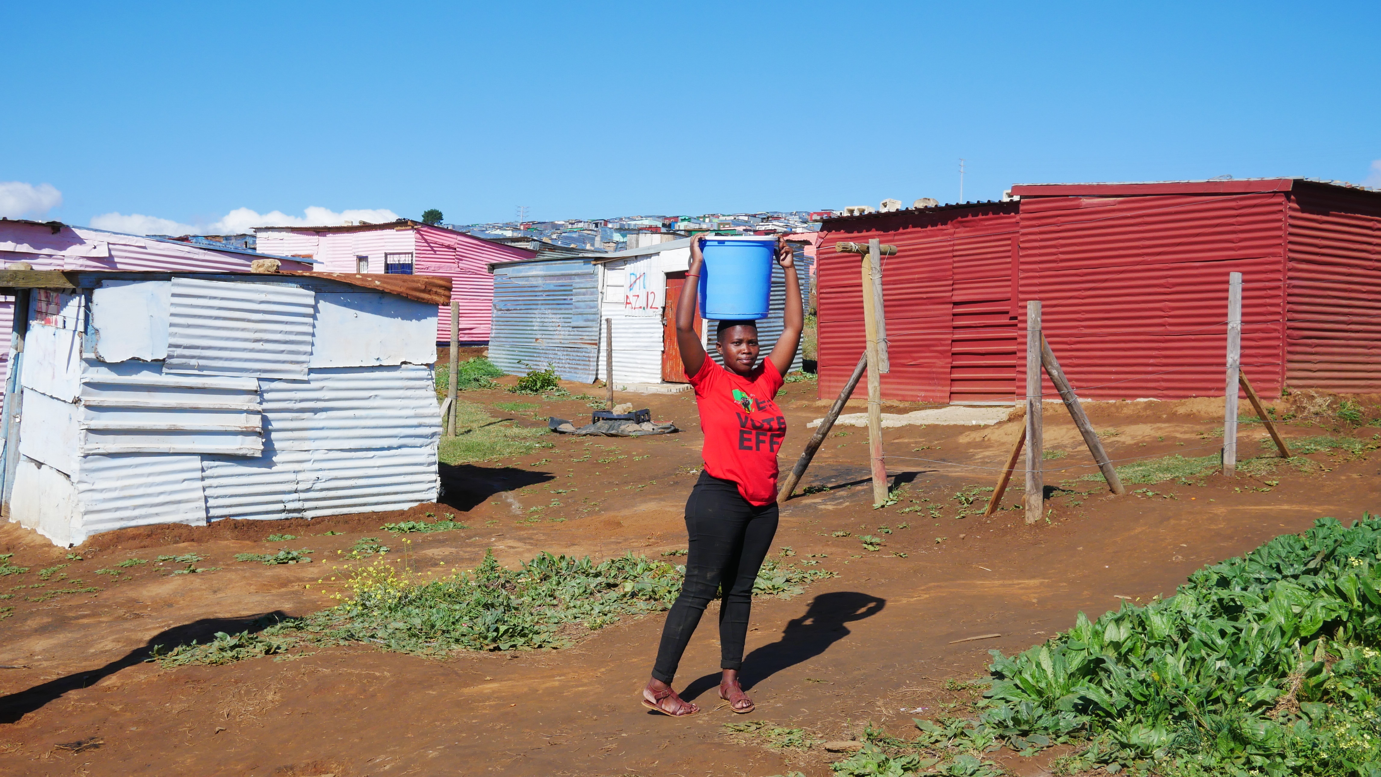 Squatting In Wine Country South Africa's Promise Of Land Reform