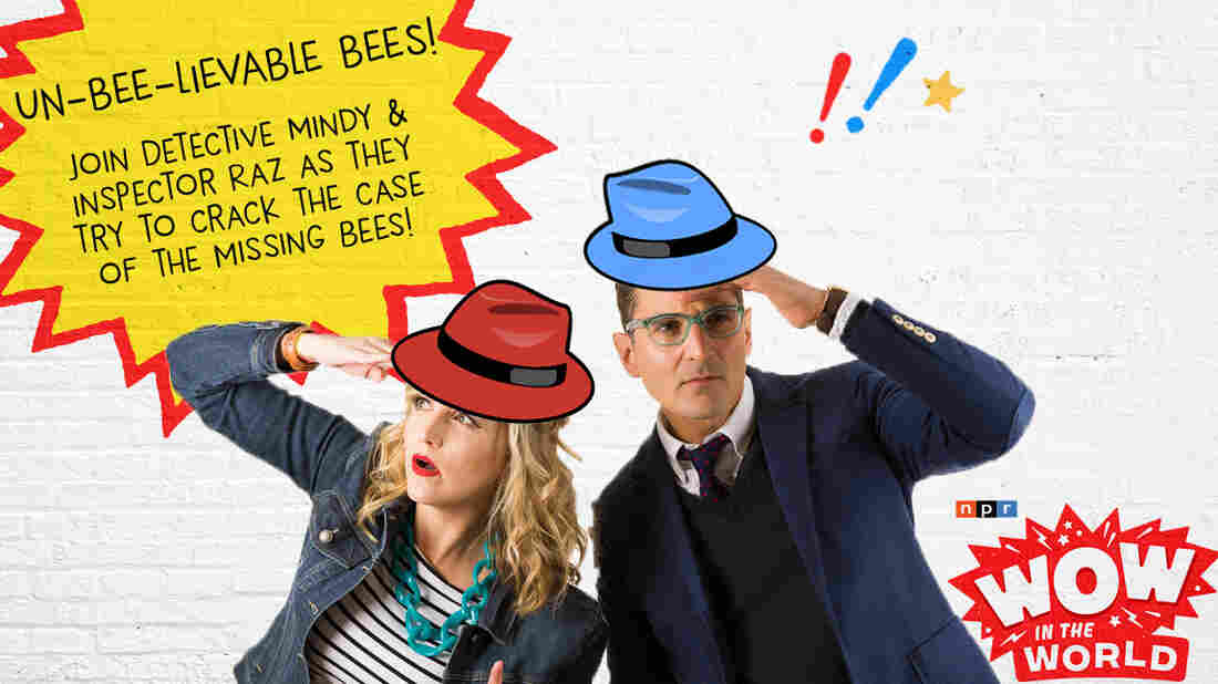 You won't bee-lieve your ears! Join Detective Mindy and Inspector Raz, an un-bee-table crime fighting duo, as they try to crack the case of the missing bee
