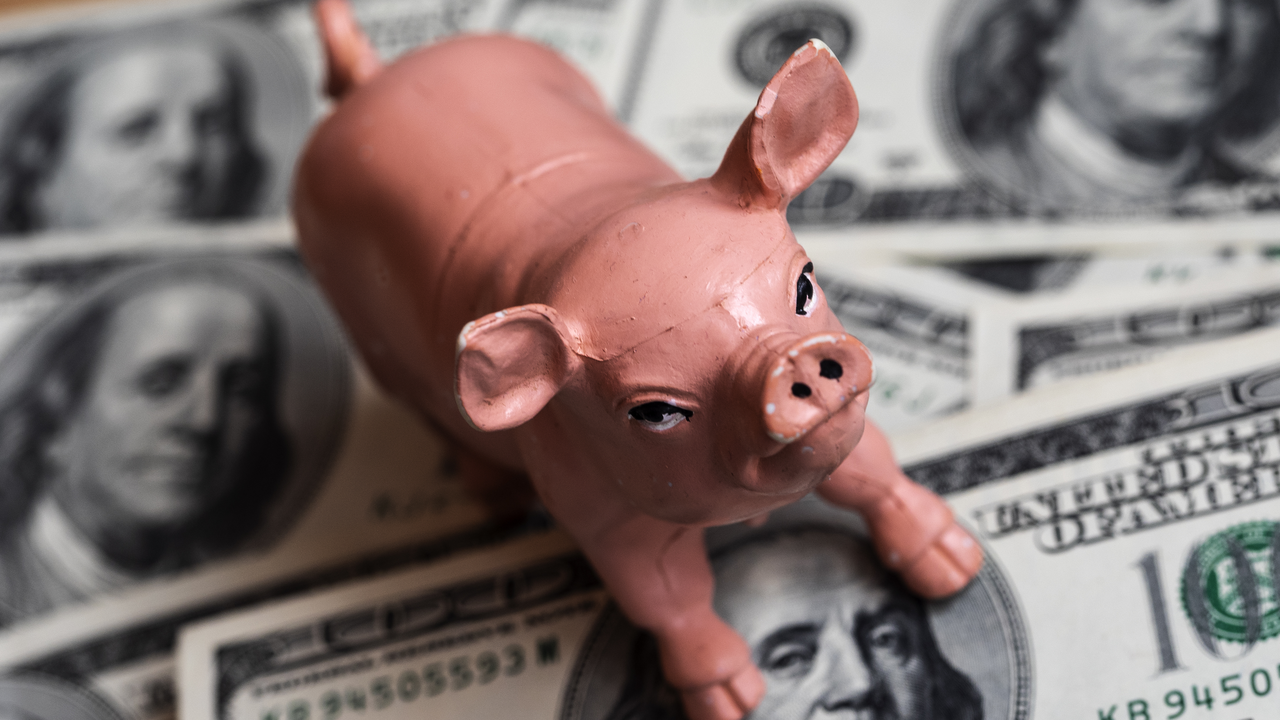A ceramic pig seen with a background of dollar bills. A quarter of employed millennials rely on help from parents or family to pay at least one bill. (LightRocket via Getty Images)