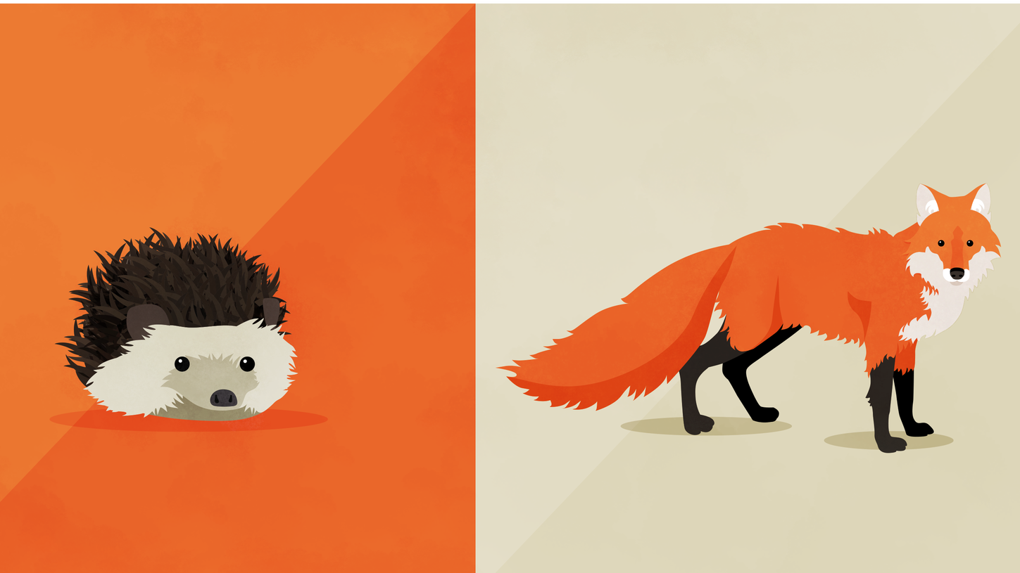 Are You A Fox Or A Hedgehog? : NPR