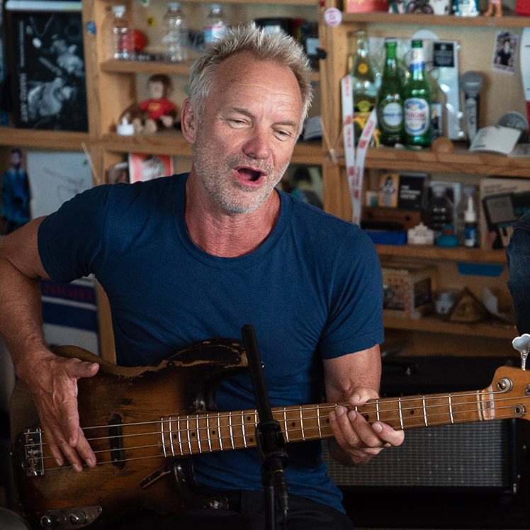 Sting And Shaggy