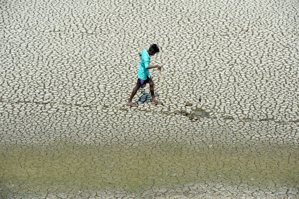 A youth scouts for mud crabs and snakehead fish on the parched bed of Chembarambakkam Lake on the outskirts of Chennai, India. (AFP/Getty Images)