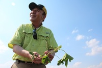 Pengyin Chen, professor of soybean breeding and genetics at the University of Missouri, in his test plots of soybeans near the town of Portageville.