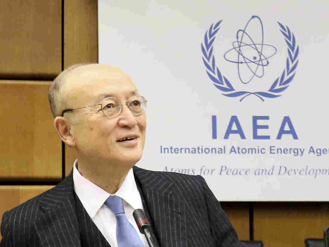 International Atomic Energy Agency Chief Yukiya Amano Dies