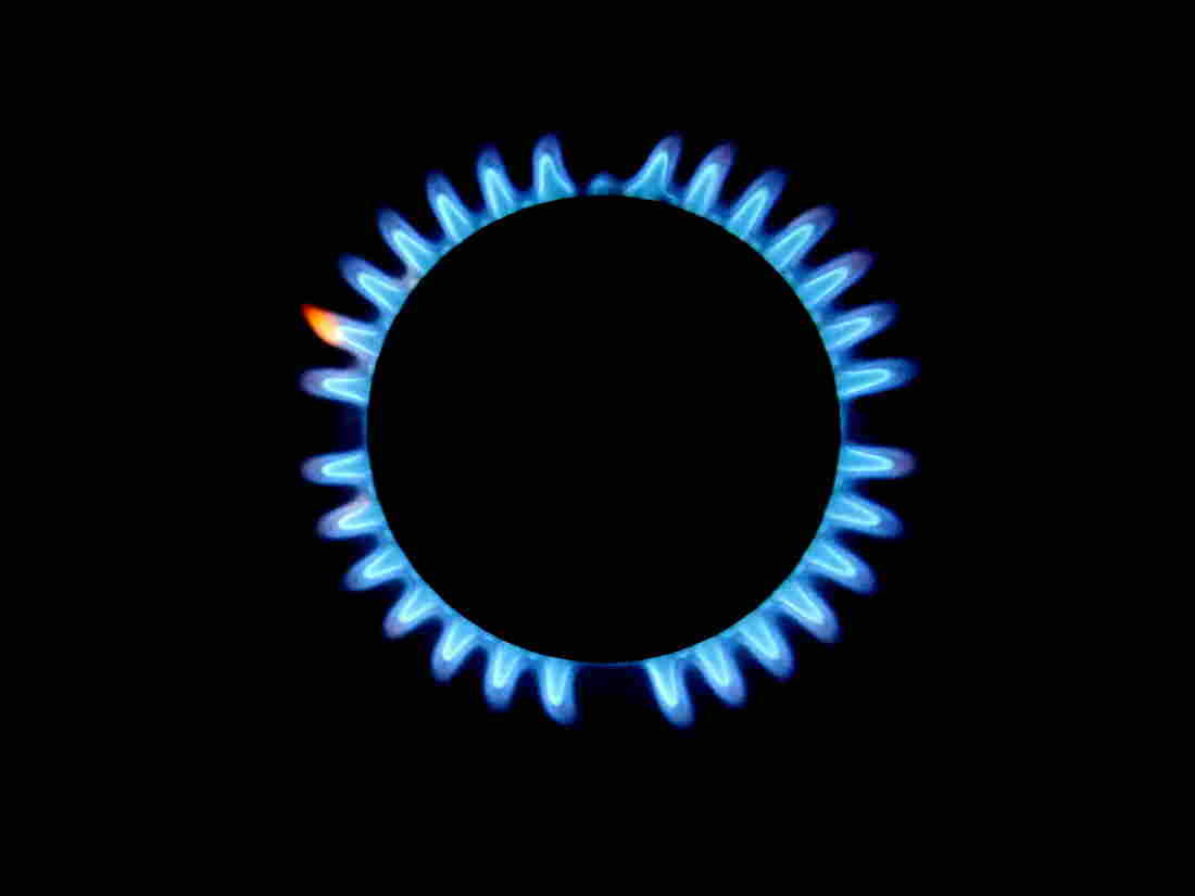 Berkeley, Calif., has banned natural gas in new buildings starting next year.