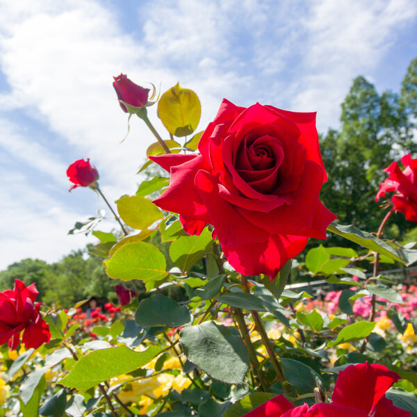 Beyond The Grind: Find Meaning In Travel — Abroad Or In Your Backyard