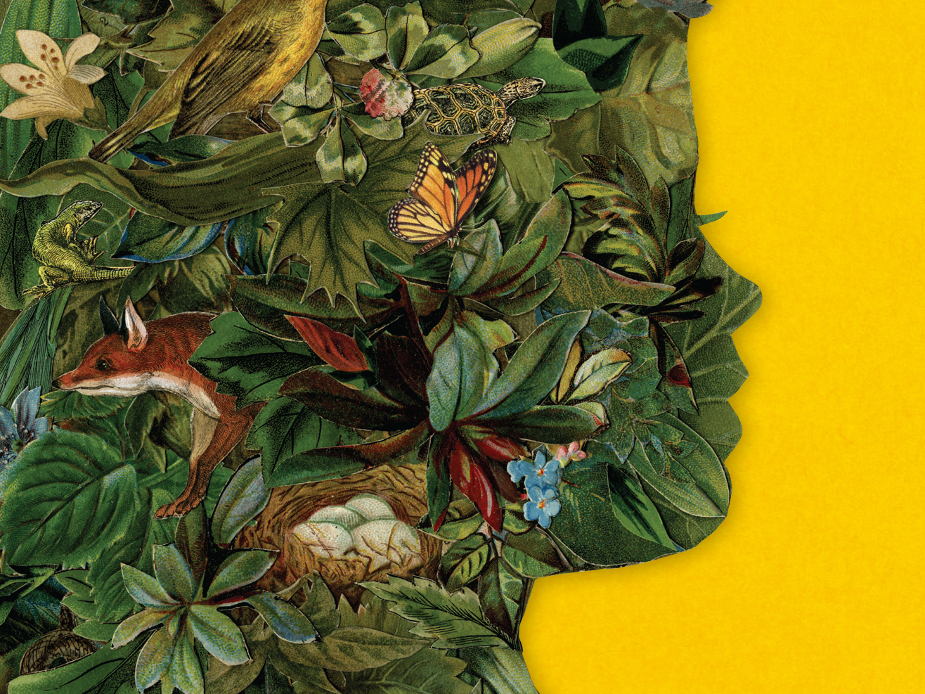 A perfect summer book, 'Late Migrations' reminds us of life's beauty and fragility