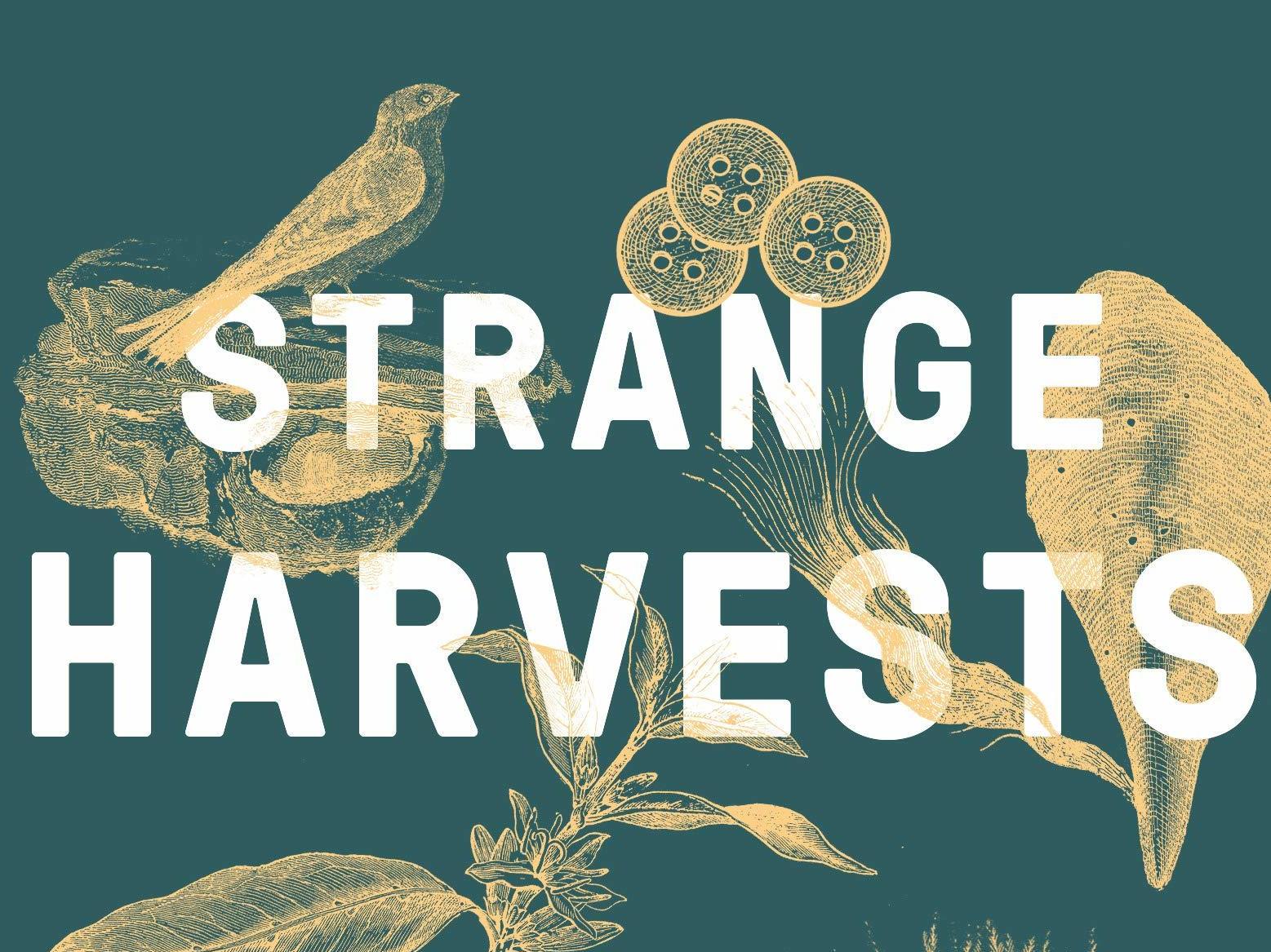 'Strange Harvests' turns nature's fairy tales inside out