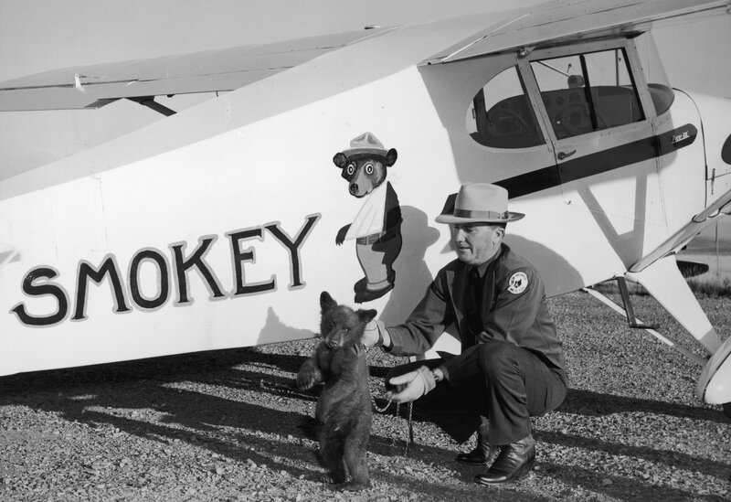 Smokey Bear Turns 75 See How His Image Has Changed Npr