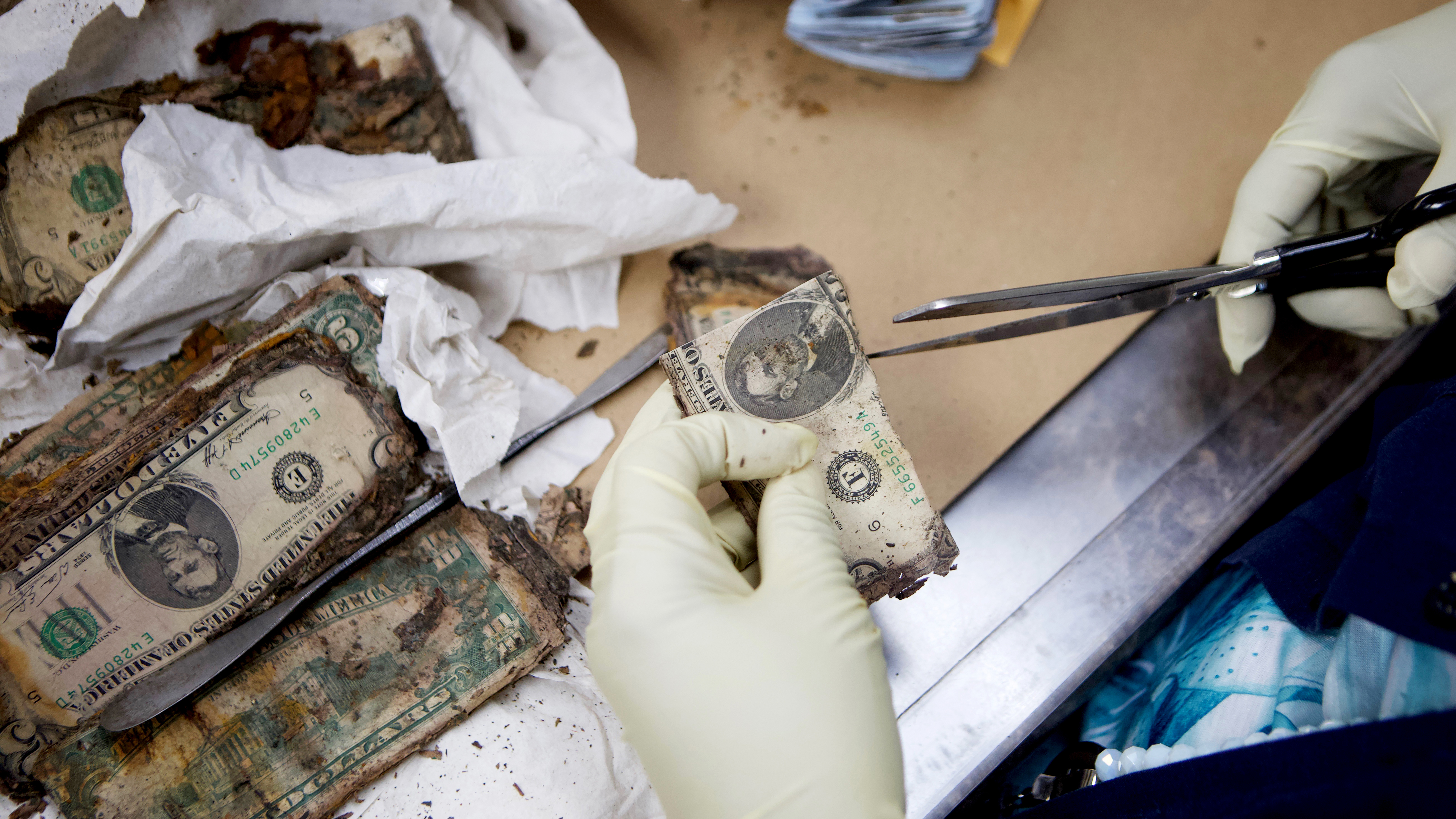 The U.S. Redeems Damaged Bills Because The Dollar Depends On It NPR