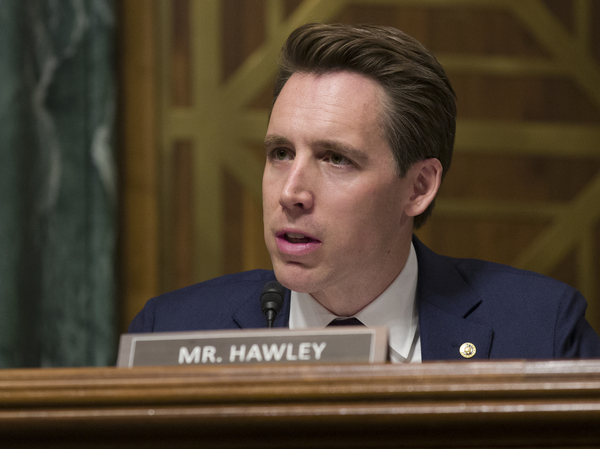 Sen. Josh Hawley, R-Mo., speaks during a hearing of the Senate Judiciary Committee in March. He blames big tech for using "exploitative and addictive practices in order to get us to spend more time on their platform."