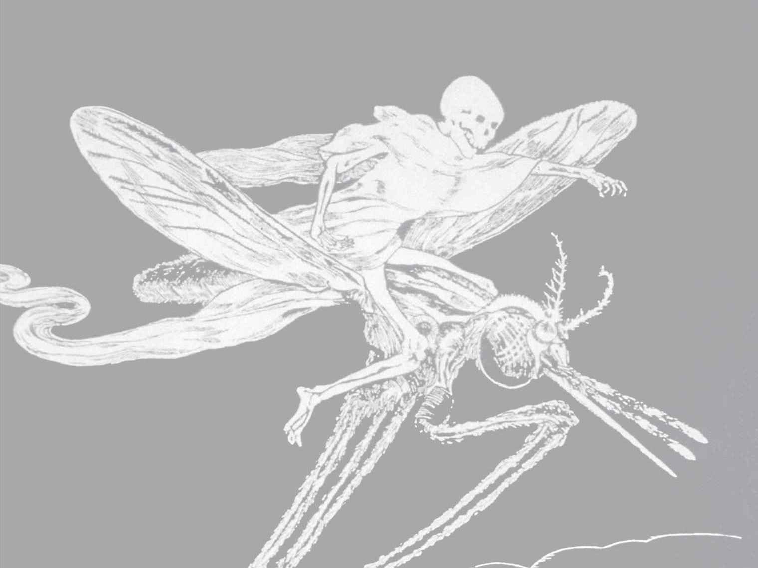 In 'The Mosquito,' Humans Face A Predator More Deadly Than The Rest 