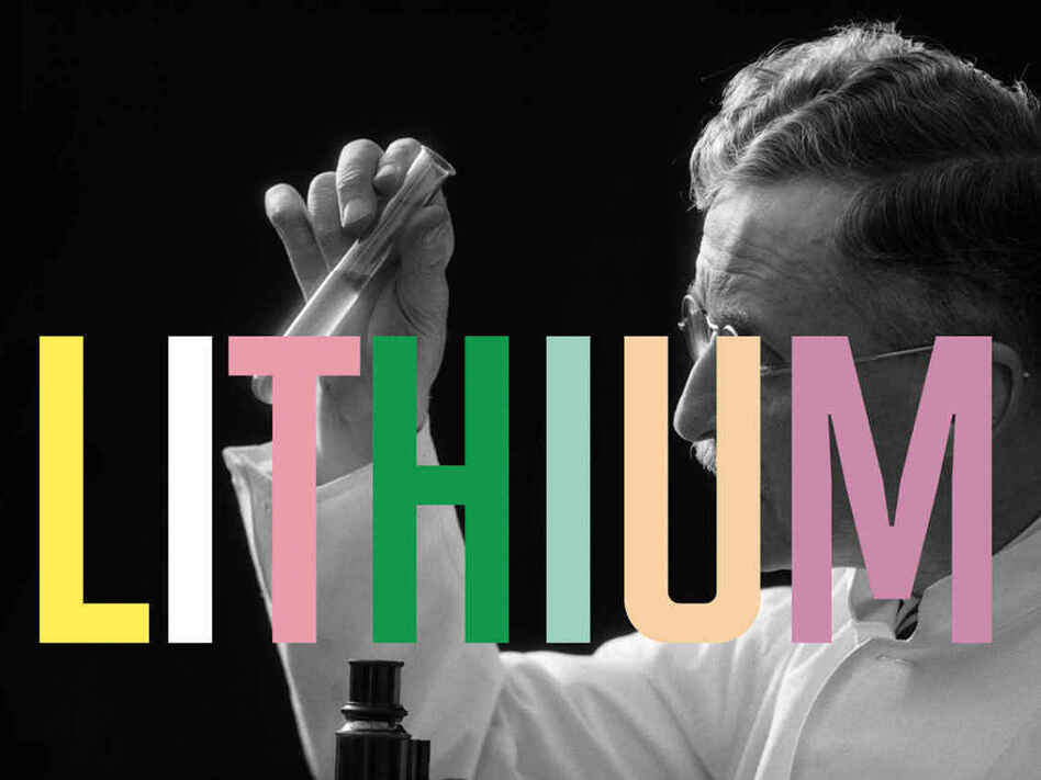<em>Lithium: A Doctor, a Drug, and a Breakthrough</em>, by Walter A. Brown