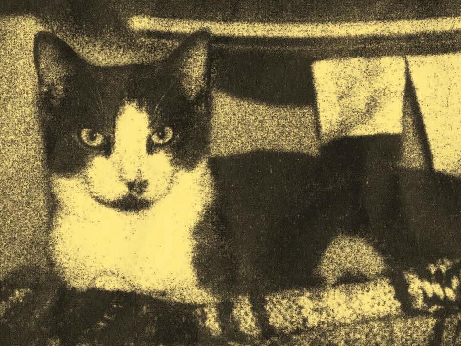 In 'Gods with a Little G,' the kids are alright