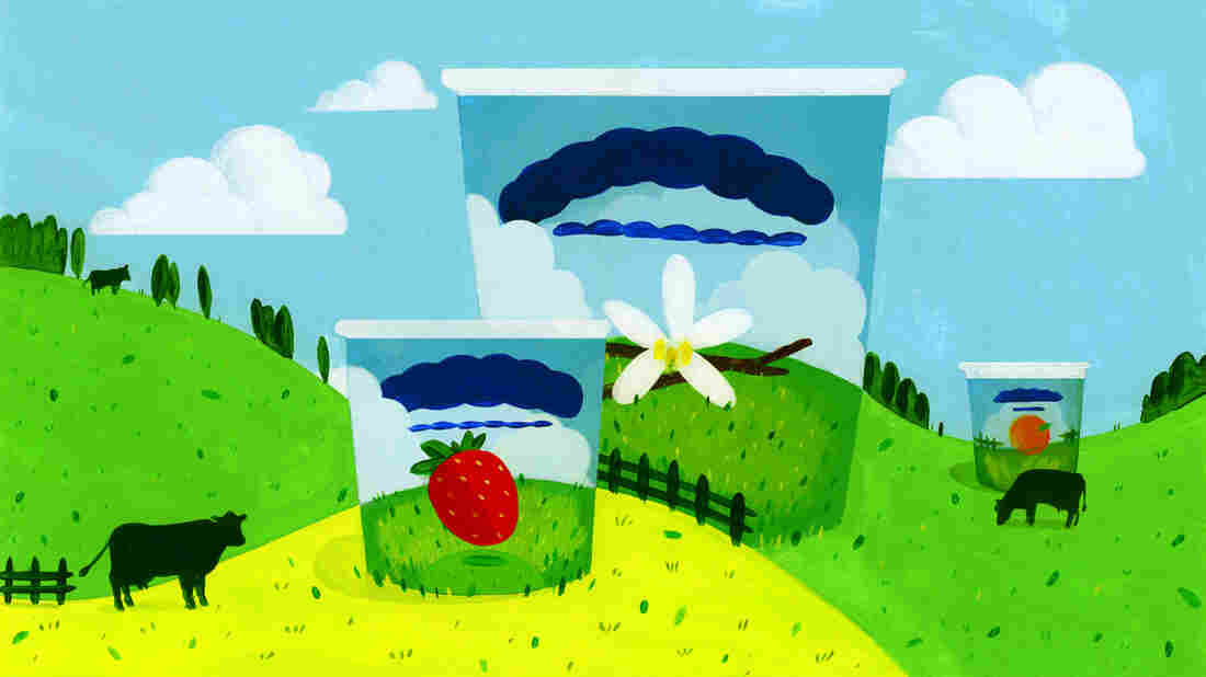 Gary Hirshberg is the founder of Stonyfield Yogurt