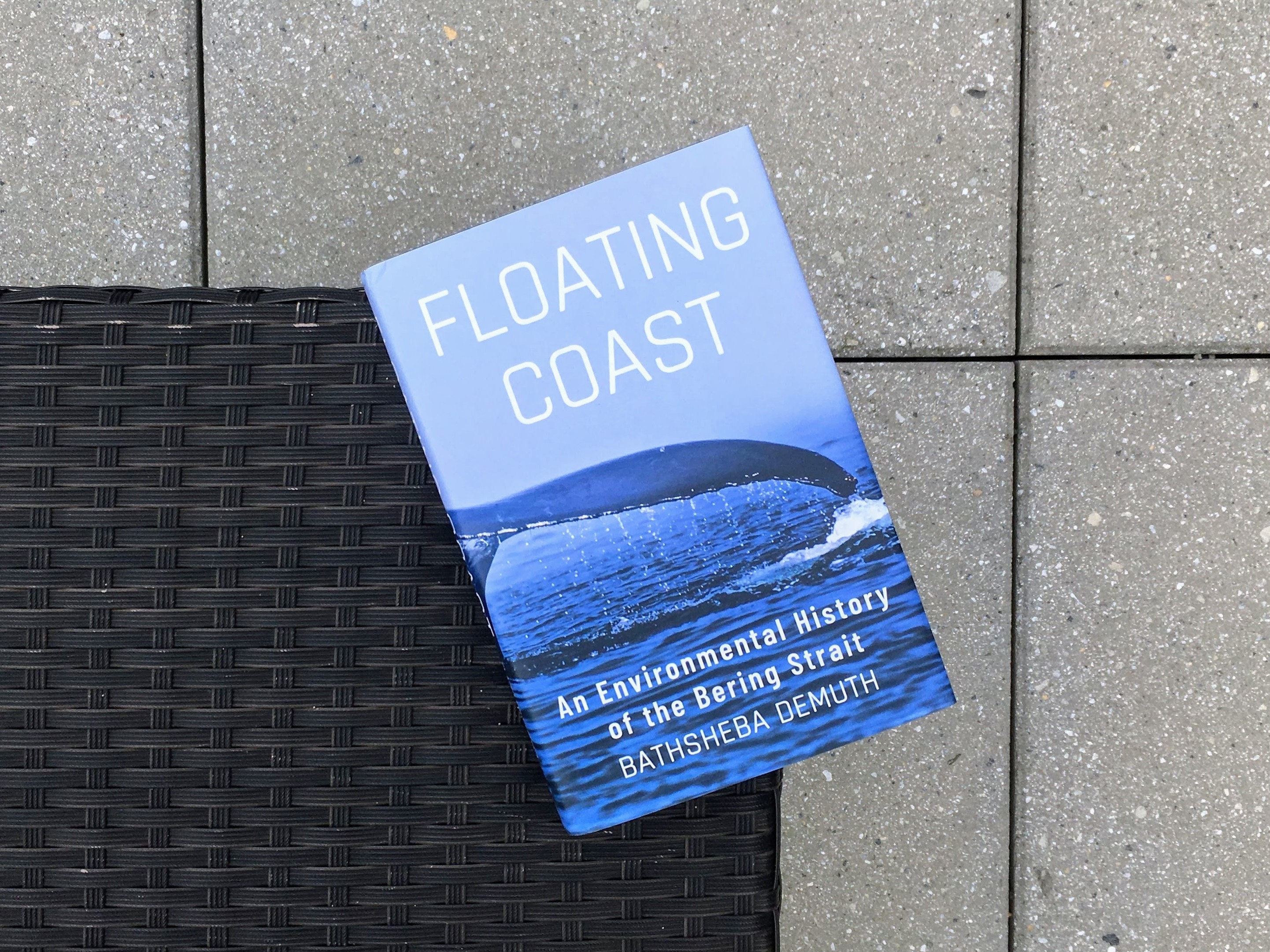 'Floating Coast' reads like a eulogy to the natural world — with a sliver of hope