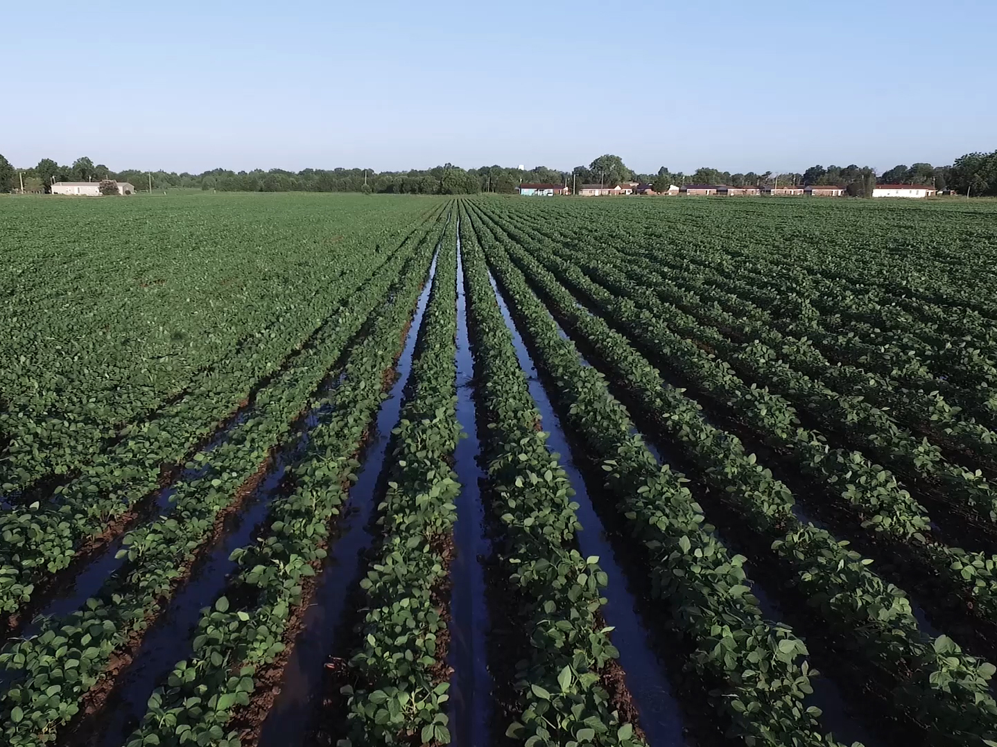 Vann Newkirk II's new cover story for <em>The Atlantic</em> details how black farmers often faced discrimination in federal programs designed to help the agriculture industry. (Courtesy of The Atlantic)
