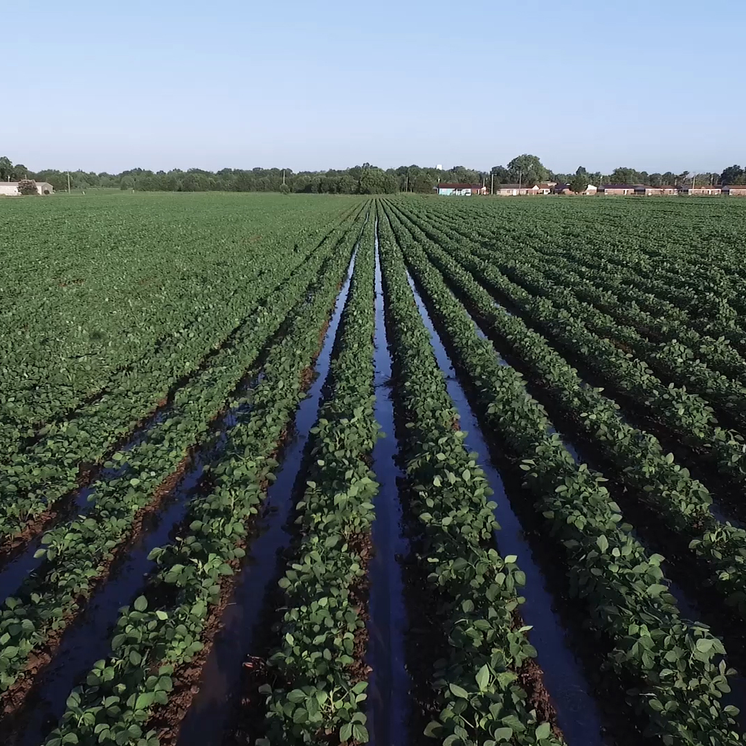 Interview: Vann Newkirk On How Black Farmers Were Robbed Of Their Land