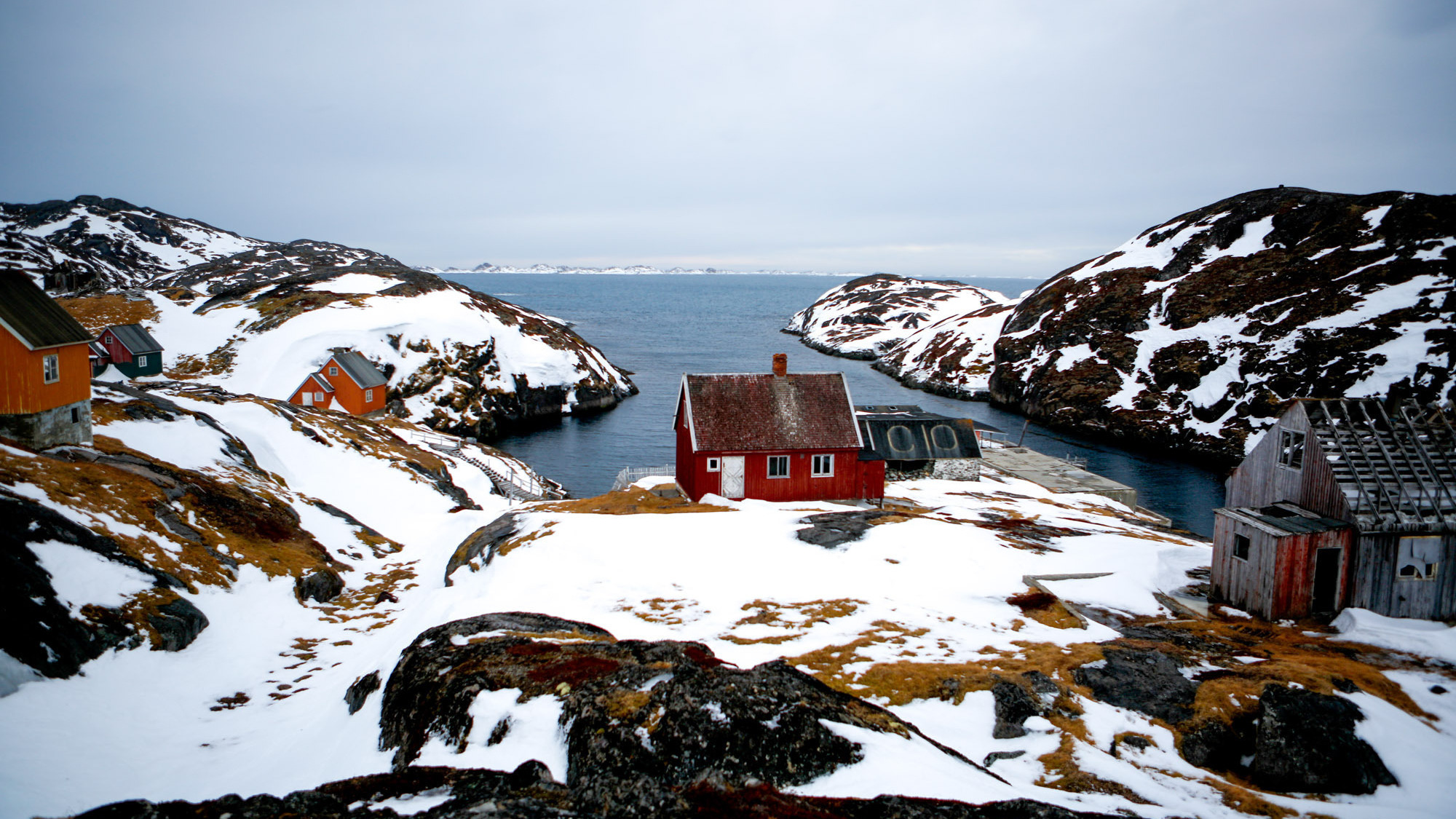 What do Greenlanders think of Trump's interest in buying Greenland