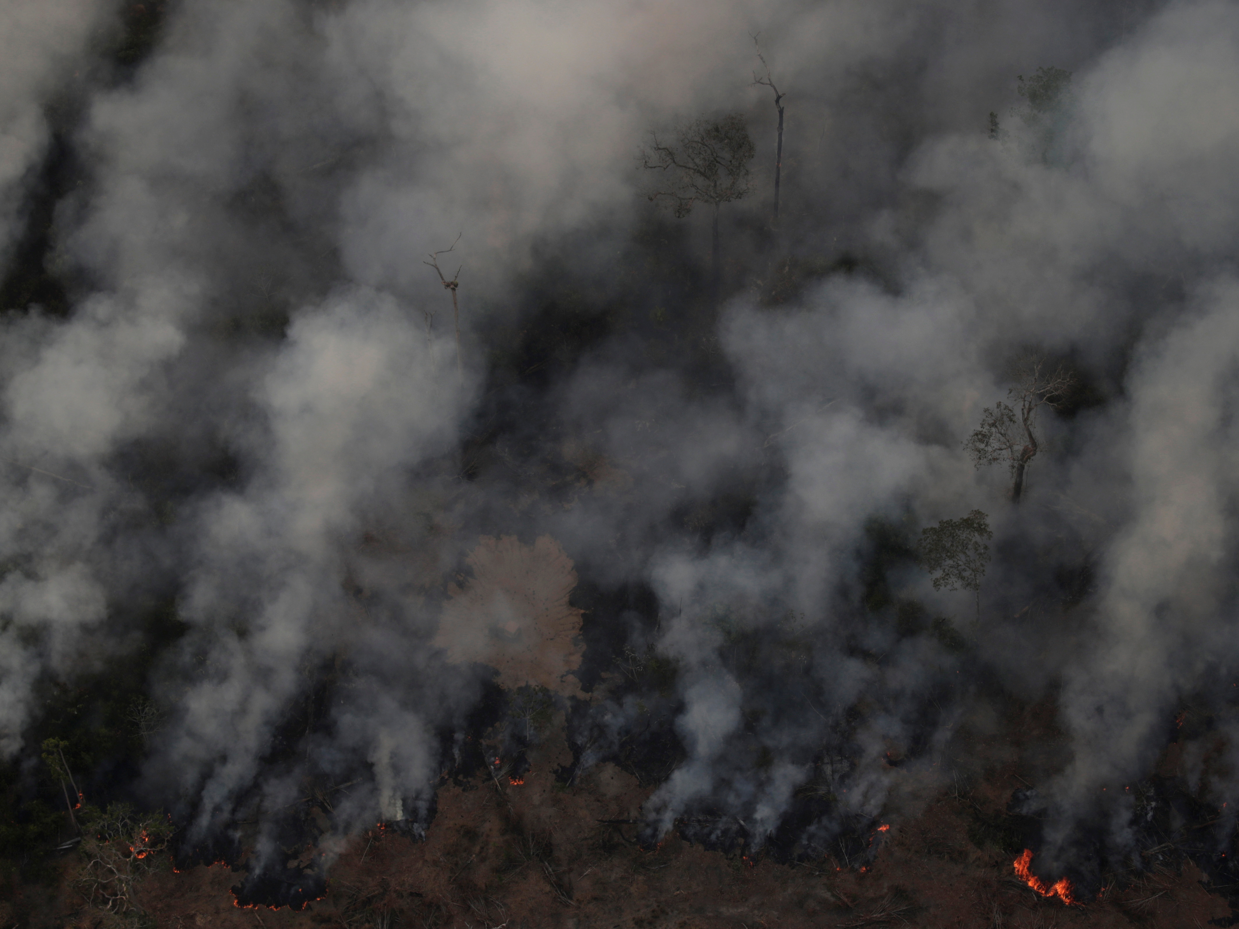 Smoke billows from a fire in an area of the Amazon rainforest near Porto Velho, Brazil, earlier this week. (Reuters)