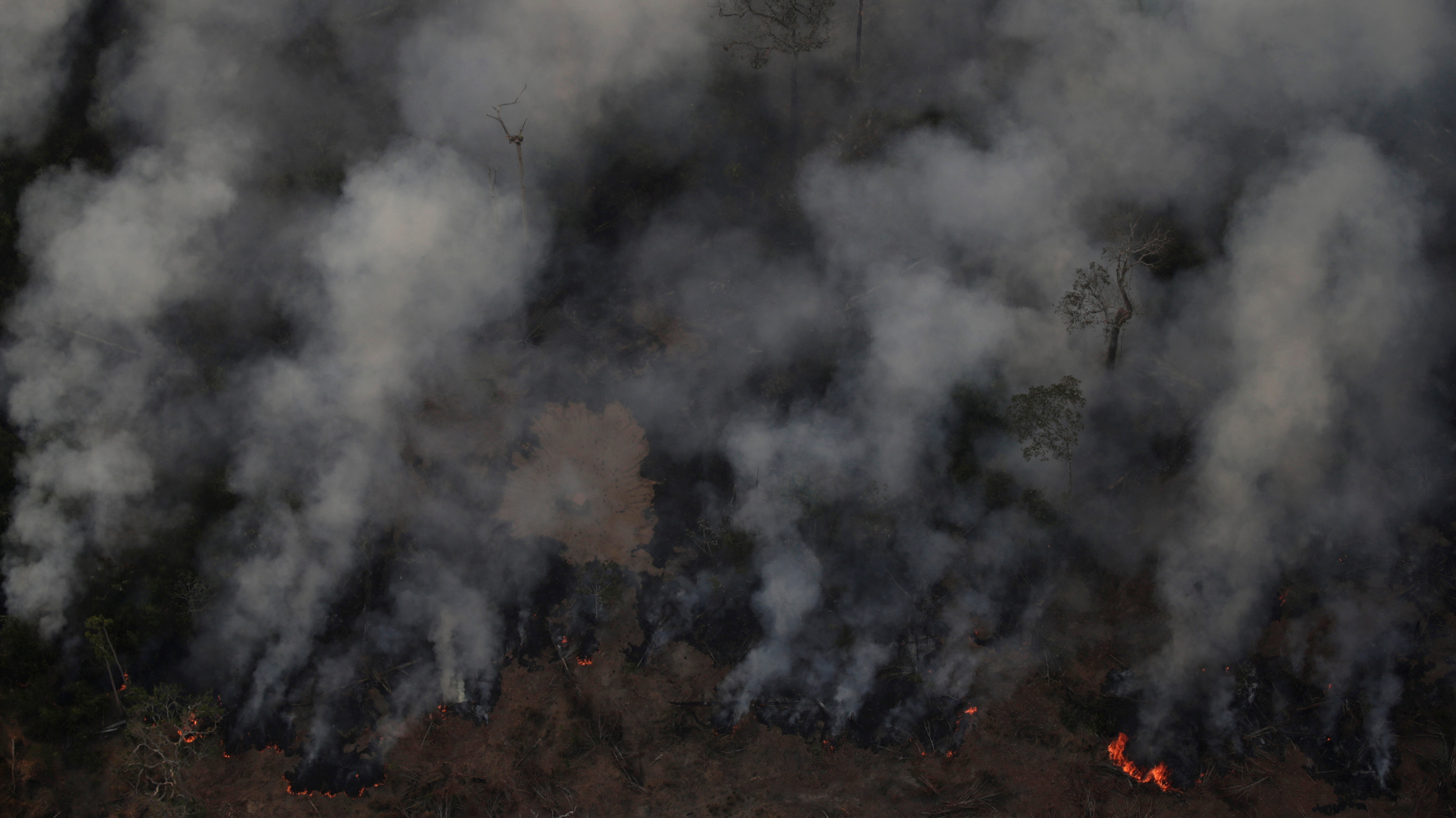 PHOTOS Amazon Rainforests On Fire In Brazil The Picture Show NPR