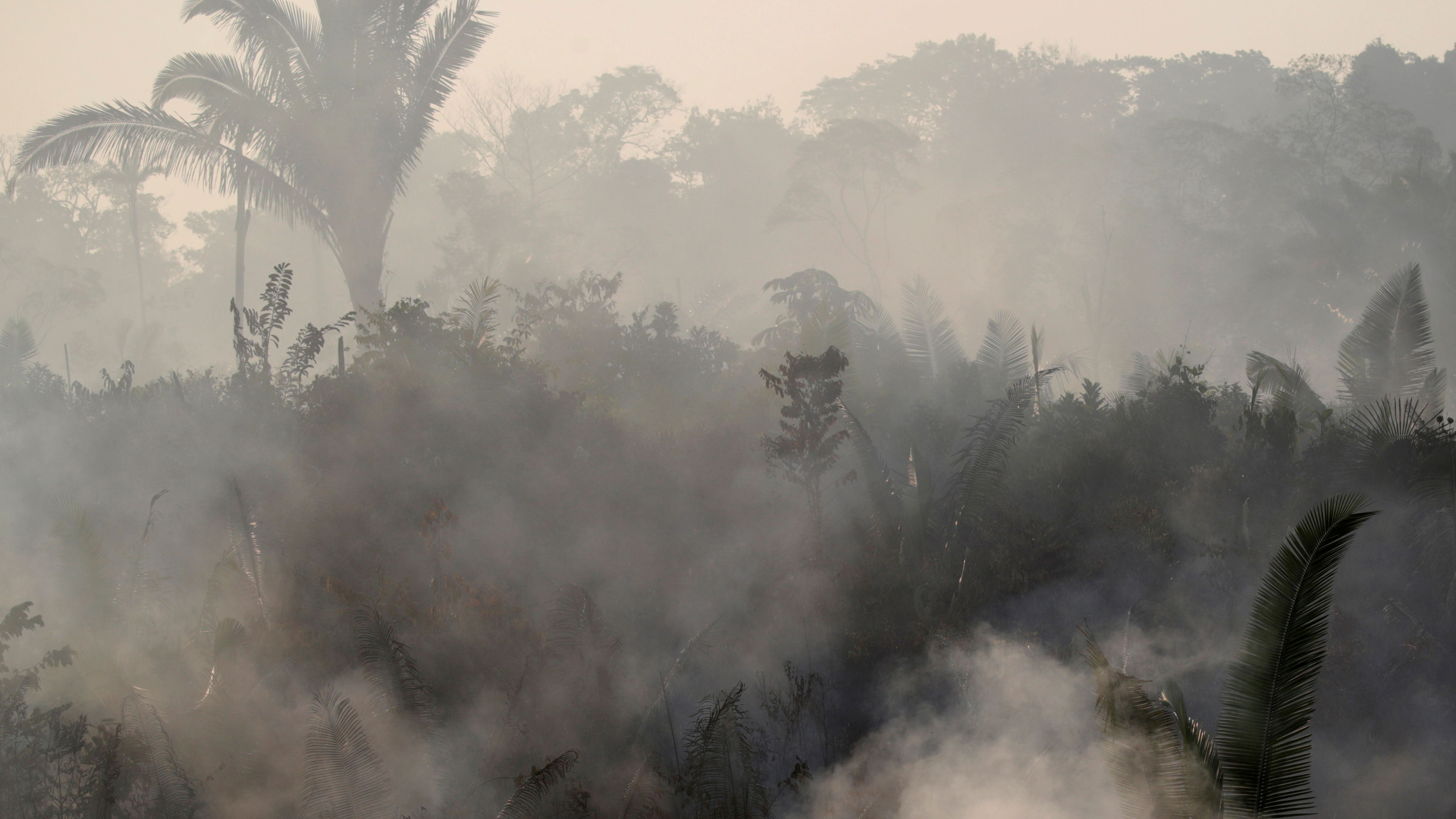 PHOTOS Amazon Rainforests On Fire In Brazil The Picture Show NPR
