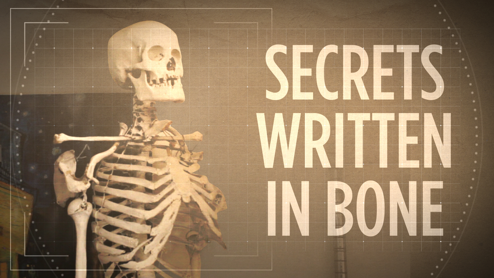 Classroom Skeleton: Whose Bones Are These?