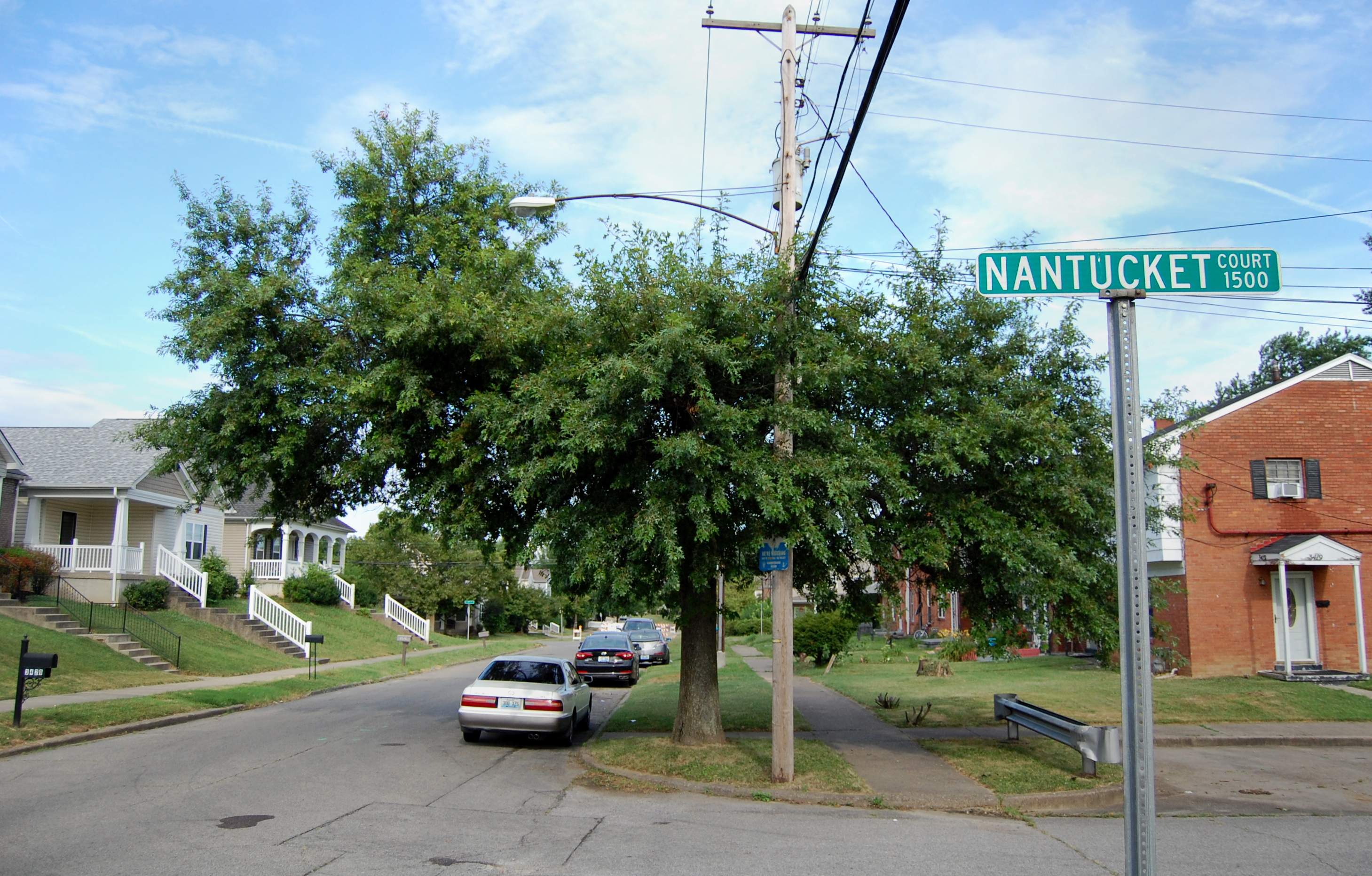 A tree grows beneath a power line in the Park DuValle neighborhood of Louisville, Ky. Urban environments can be especially harsh on trees. (NPR)