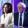 Where Each Democratic Candidate Stands In The Presidential Race In 100 Words