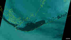 Satellite Imagery Shows Extent Of Devastating Flooding On Grand Bahama Island