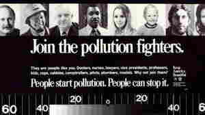 The Litter Myth