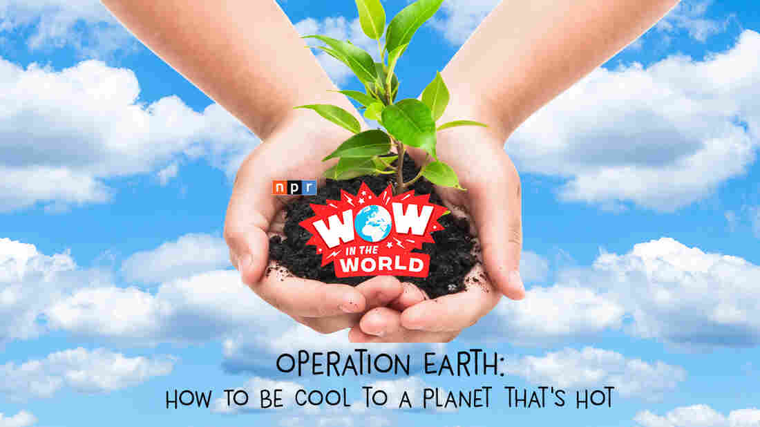 We've all heard of Climate Change, but what is it, and why is it bad news for planet Earth? Join Guy Raz and Mindy Thomas as they go back in time in an effort to protect our future! It's the Who, What, When, Where, Why, How, and Wow in the World of Climate Change He