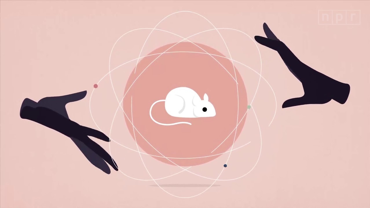 WATCH: Can You Affect Another Person's Behavior With Your Thoughts?