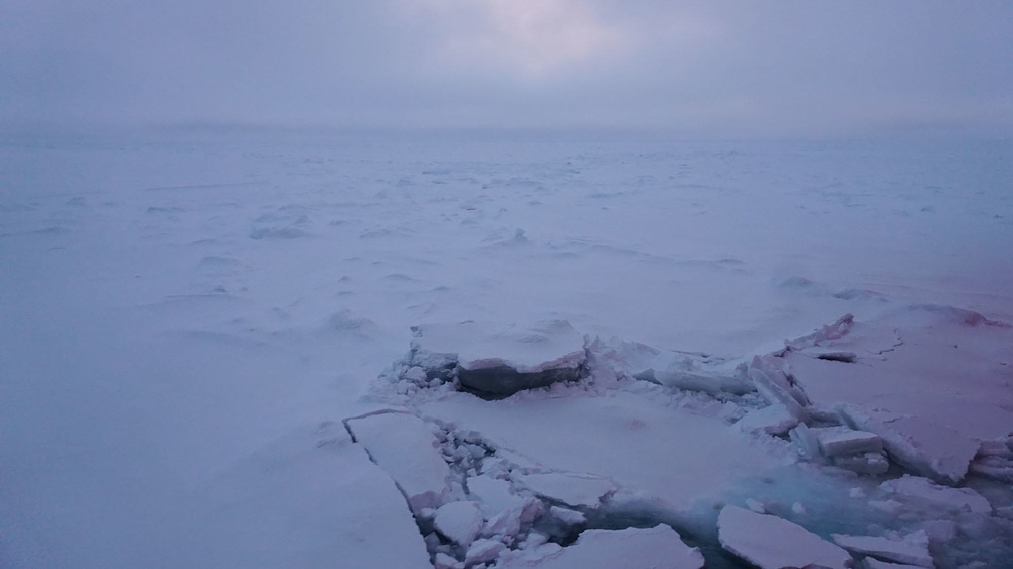 Researchers Are Freezing Their Ship Into Arctic Ice To Study Climate Change - NPR