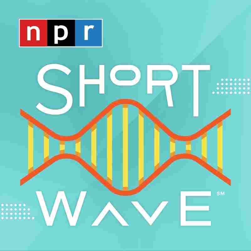 Short Wave Logo