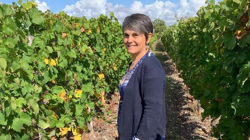 Winemaking In France Is Being Disrupted By Climate Change : The Salt - NPR