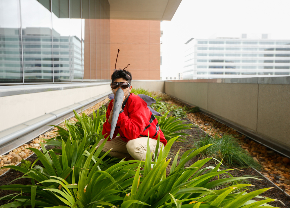 This former NPR intern shows off our mosquito costume. He's definitely more interested in Halloween candy than in human blood. (NPR)