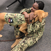 High-Ranking Dog Provides Key Training For Military's Medical Students
