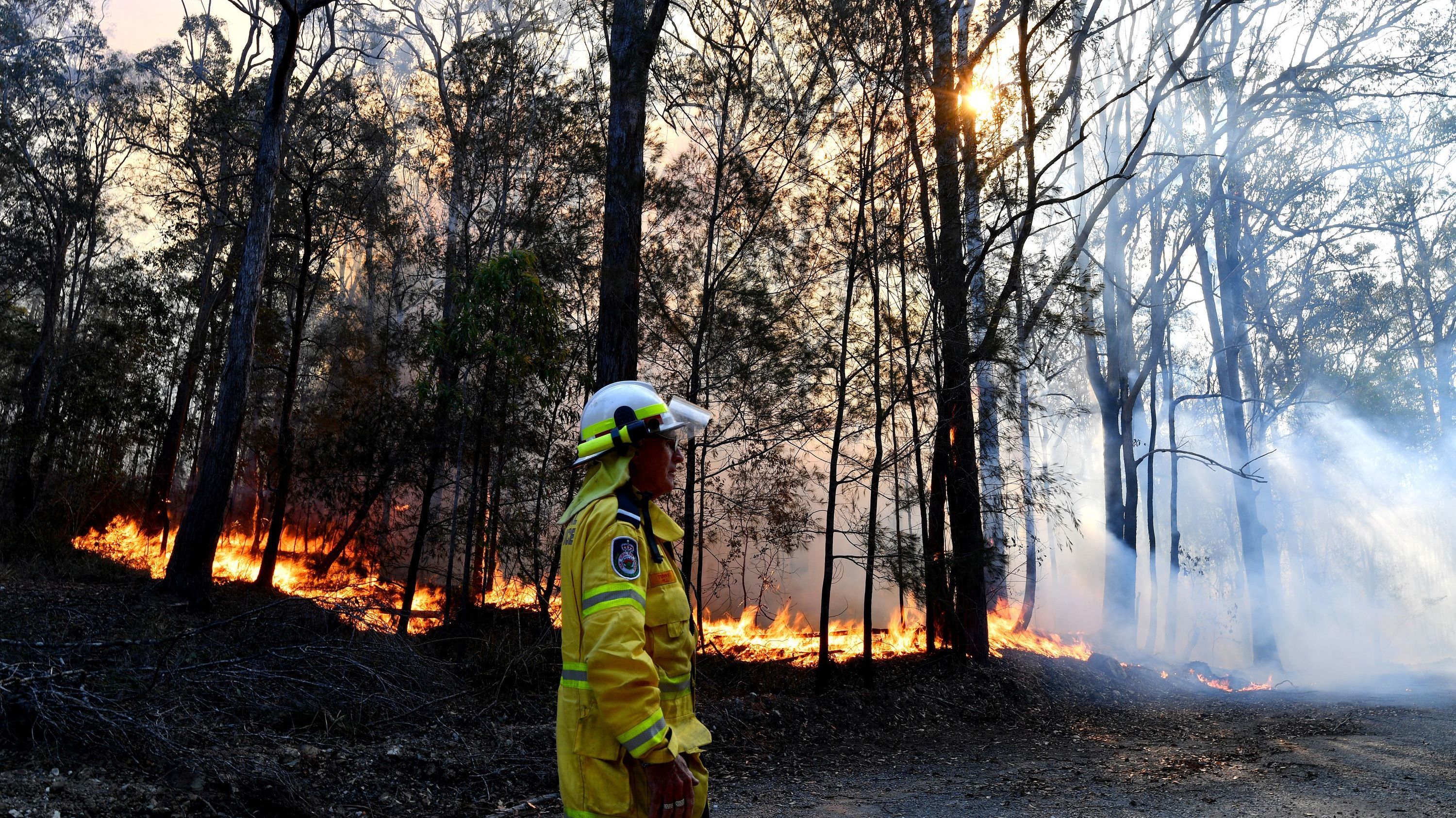 A firefighter monitors a fire on Saturday near Port Macquarie in New South Wales. Australia's most populous state has been subject to a large outbreak of wildfires because of drought conditions. (AFP via Getty Images)