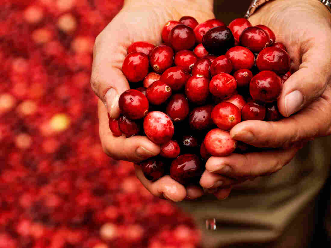 Person holding cranberries