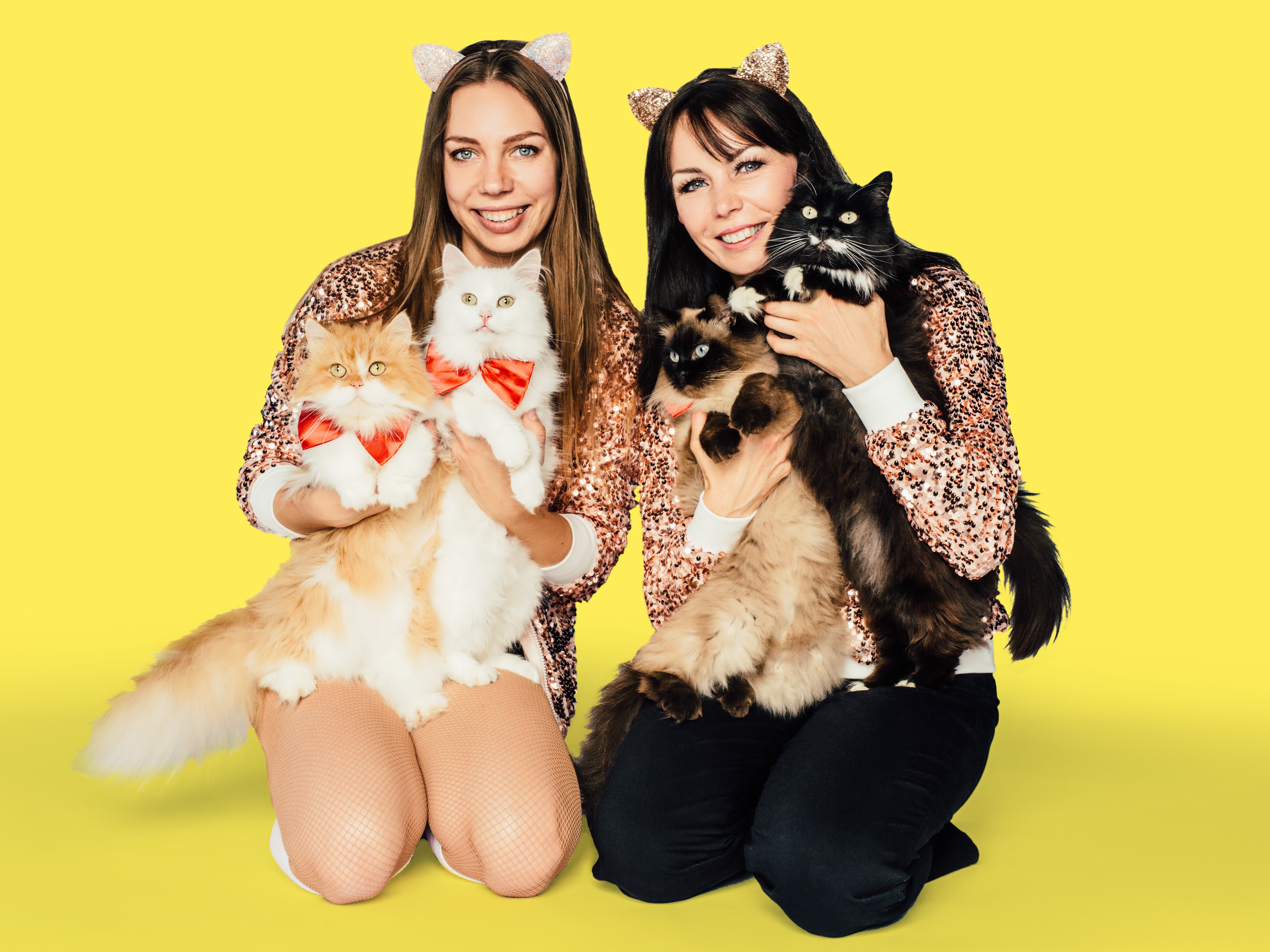 These Circus Cats Will Jump Through Hoops — Thanks To Training (And ...