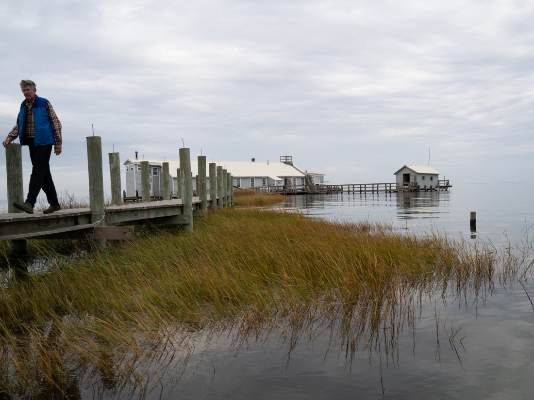 Rising Waters Are Swallowing A Chesapeake Education Center, Forcing It To  Close : NPR