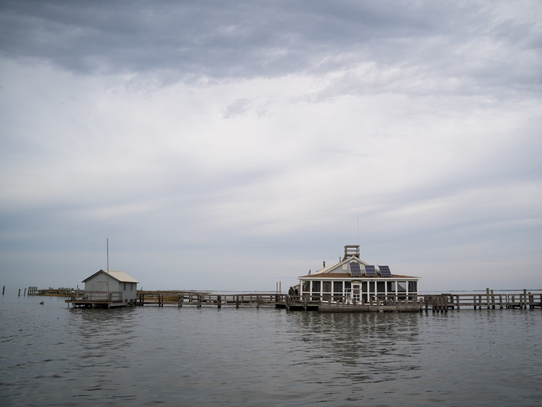 Rising Waters Are Swallowing A Chesapeake Education Center, Forcing It To  Close : NPR